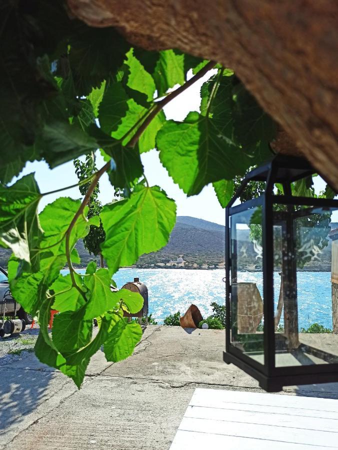 Tholos Alexandra'S Beachfront House Kavousi  ภายนอก รูปภาพ
